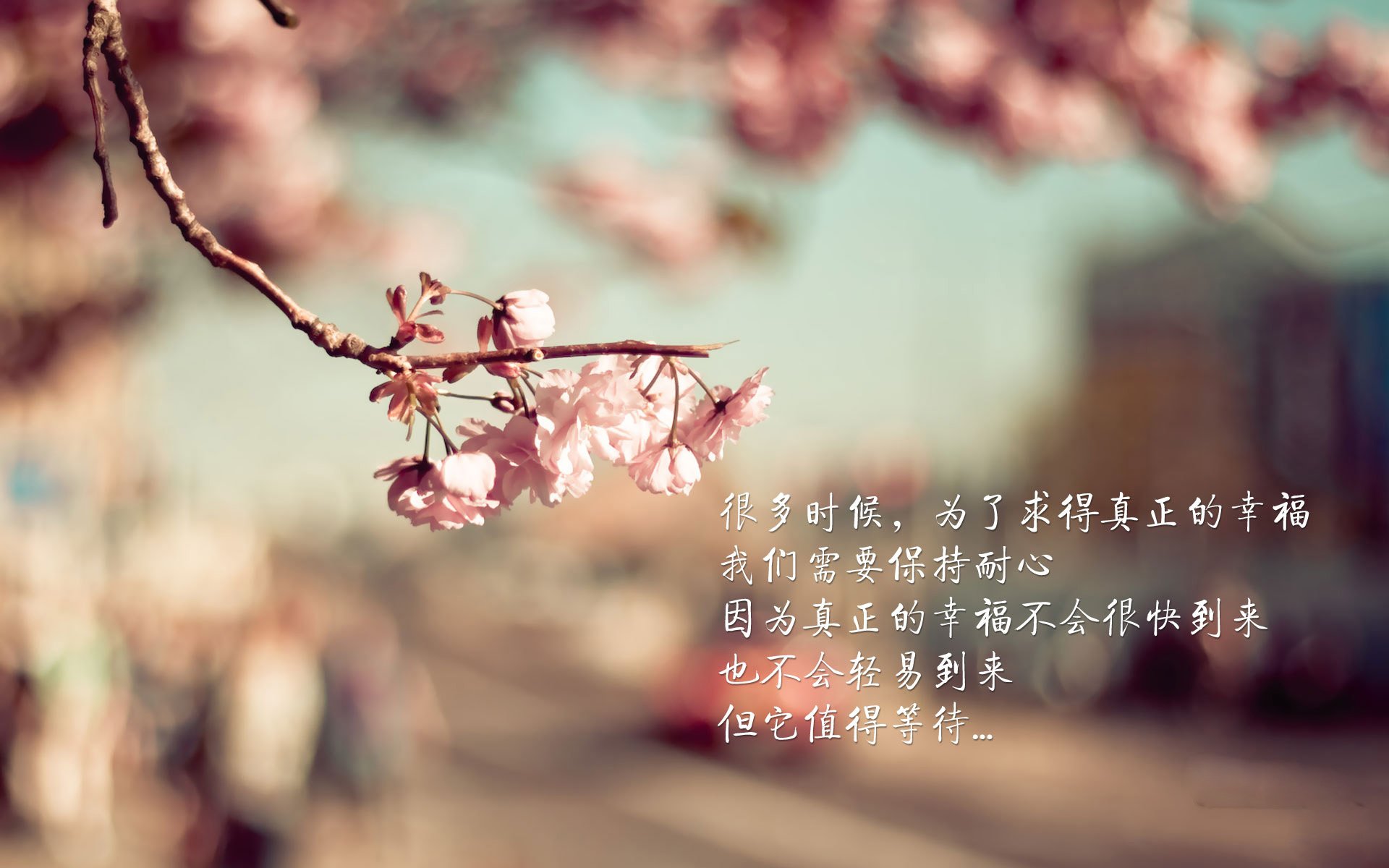 kaiyun 开云体育-菲律宾选手在亚洲台球锦标赛中夺冠，菲律宾 台球