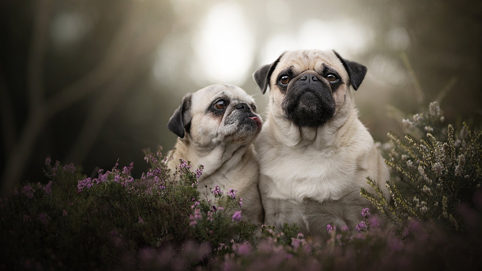 KAIYUN 中国大陆-跨界合作不断升级：电竞与时尚、娱乐产业深度融合，电竞与品牌合作