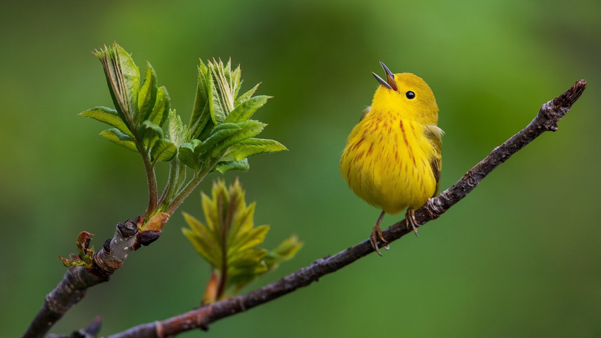 开云体育官方网入口-极致竞争：热血搏杀，瞬间决定胜负，极致performance