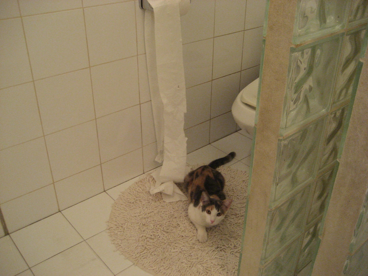 开云官方网页登录-热火球迷期待球队在休赛期进行积极操作，热火队球星