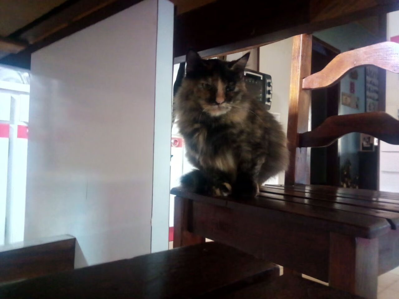 KAIYUN 中国大陆-皇马后防问题暴露！客场遭逢沉重失利，皇马后防天团