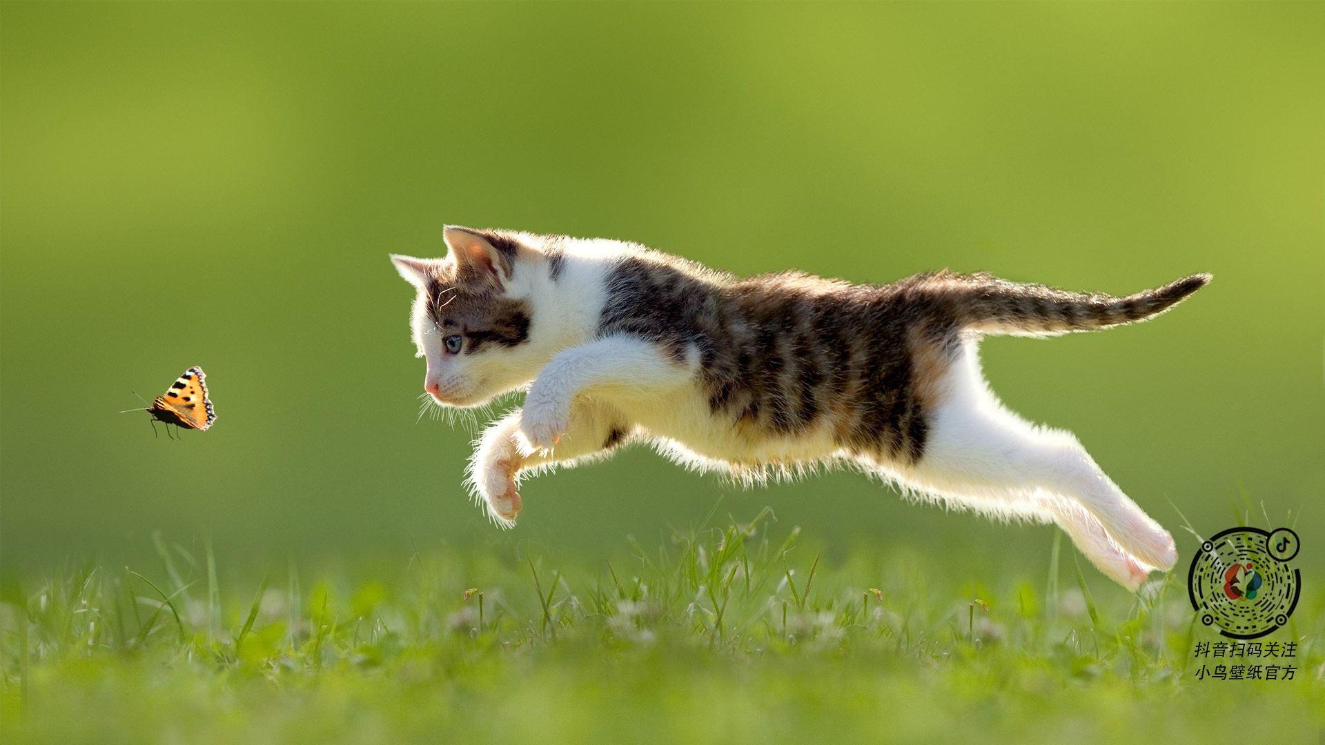 开云kaiyun-韦世豪加盟北京国安，期待新挑战，韦世豪怎么来国安了