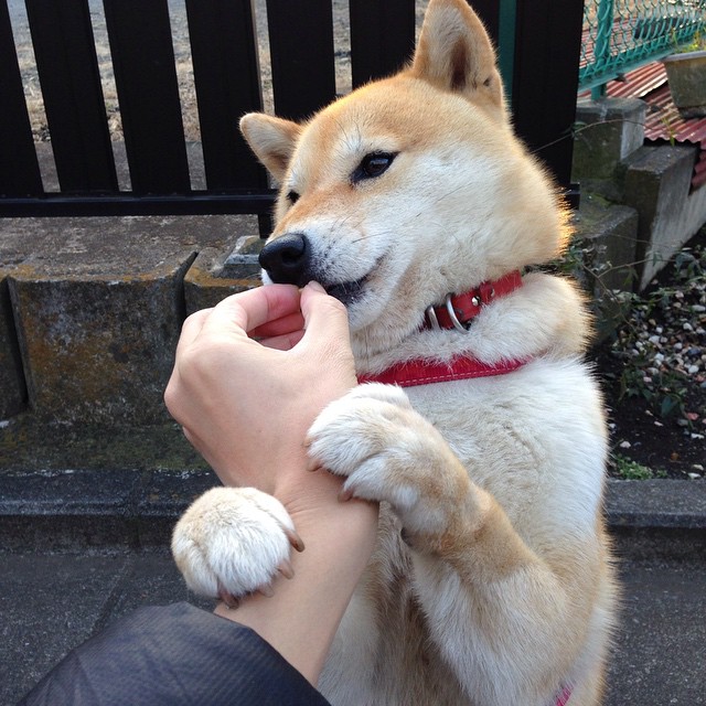 kaiyun.com-体育赛事观众体验优化方案设计，体育观众服务方案