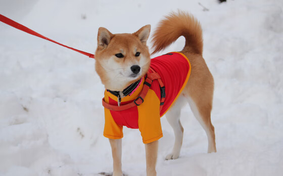 kaiyun 开云体育-库里强调团队配合胜于个人数据，库里和队友